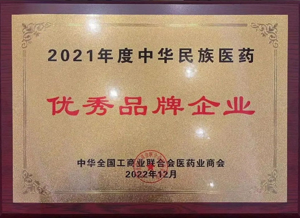 喜报 | pp电子制药荣获天下工商联医药业商会年度峰会多项大奖_pp电子